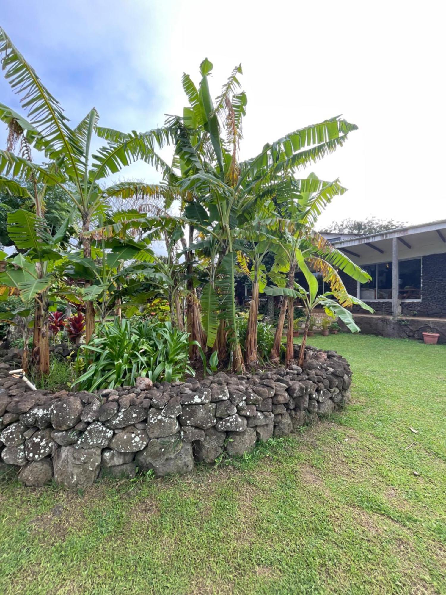 Hotel Chez Maria Goretti Hanga Roa Exterior foto